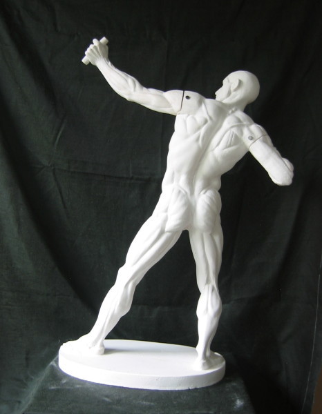 anatomicalart:  fucktonofanatomyreferences:  A workable fuck-ton of male archery