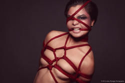 jesseflanagan:  Trinity lit two ways, featuring face ropeRigging/photos by Jesse Flanagan (self)Rope provided by MyNawashi