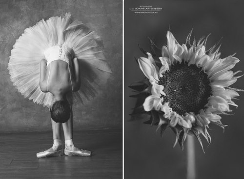 XXX vintagepales: “Ballerina and Flowers" photo