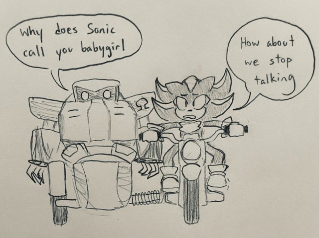 shadow the hedgehog is riding a motorcycle while e 123 omega is riding in the side buggy. omega asks "why does Sonic call you baby girl" and shadow, embarrassed, replies "how about we stop talking"