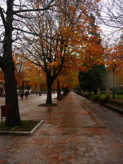 Let's Fall In Love with Autumn!