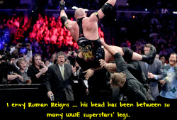 wwewrestlingsexconfessions:  I envy Roman Reigns … his head has been between so many wwe superstars’ legs