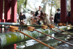 ileftmyheartintokyo:  太宰府のお手水 by Neconote on Flickr. 
