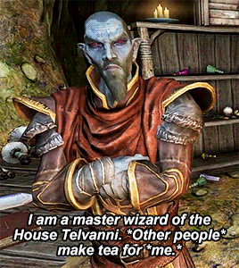 wrenhavenriver:I suppose you want to be asked nicely. Very well. Please, O Hero of Skyrim, please fi