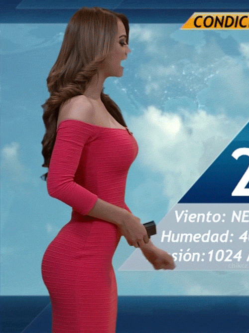 wobblies-and-puzzles:  10andup:  Mexican Weather Girl Yanet Garcia…my TV would