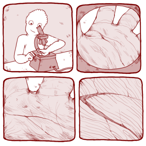 iguanamouth: happy valamementimes