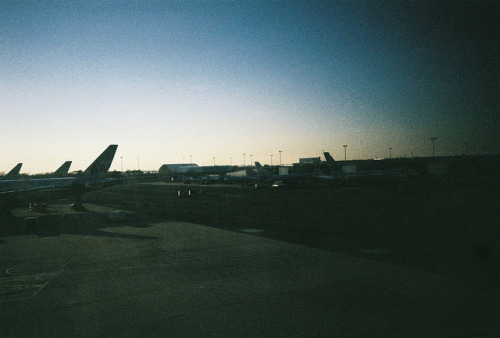 the-host:  here or there by lariverola on Flickr.