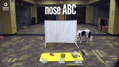asapscience:  pbsdigitalstudios:  Two of our hosts, Joe and Vanessa, have teamed