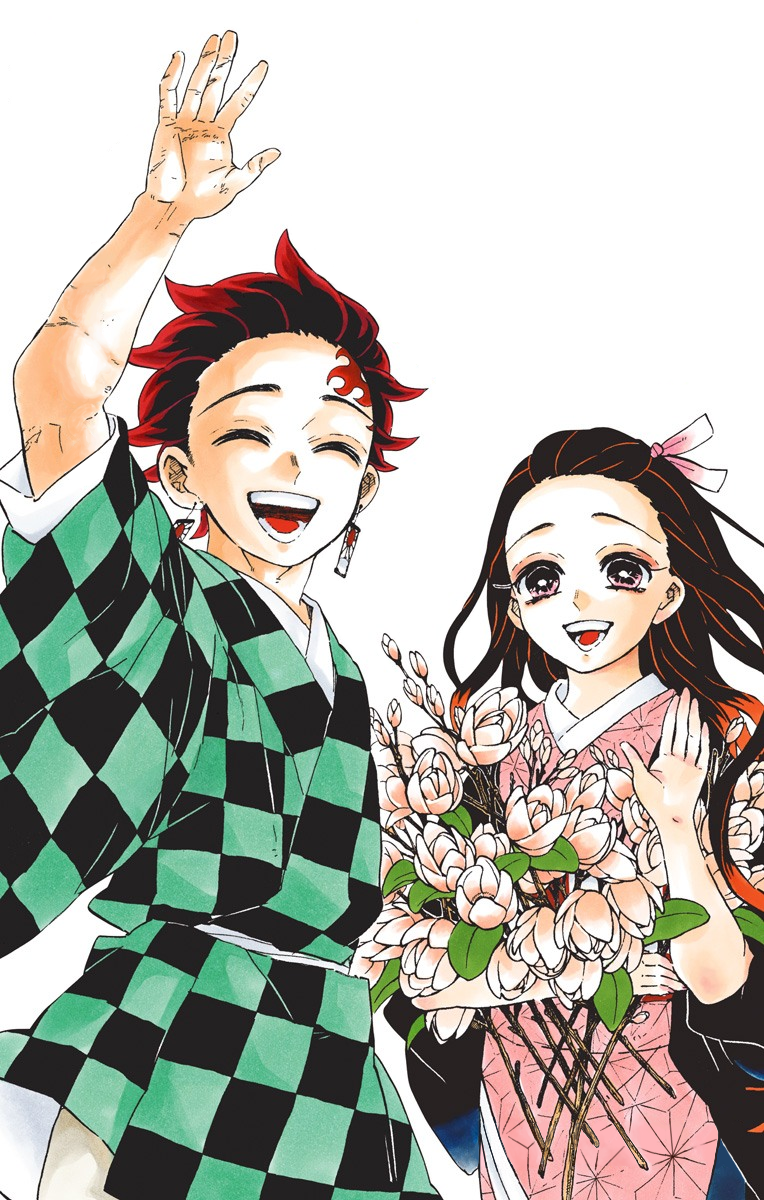 Irusu on X: TRANSLATION: Demon Slayer: Kimetsu No Yaiba Volume 23 Extra  Pages Translation. This is a combination of all the translations I could  come across in order to make a near