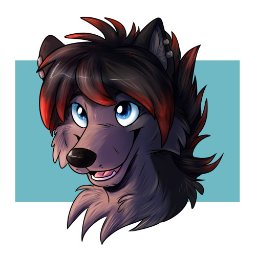 headshot commissions!