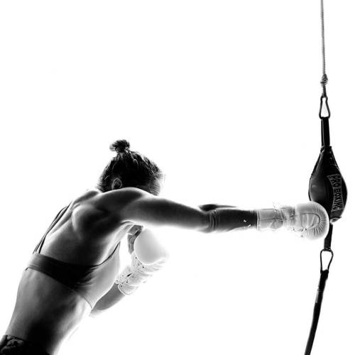 The History of Fighting
