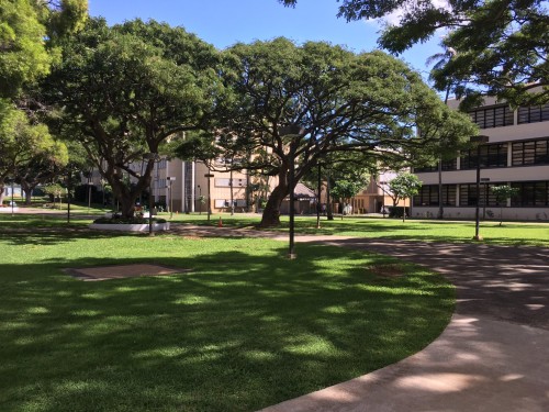 university of hawaii