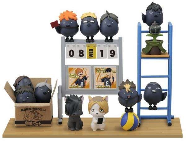 AmiAmi [Character & Hobby Shop]  Haikyuu!! TO THE TOP Scene Photo Clear  File Shiratorizawa Academy High School Eita Semi(Released)