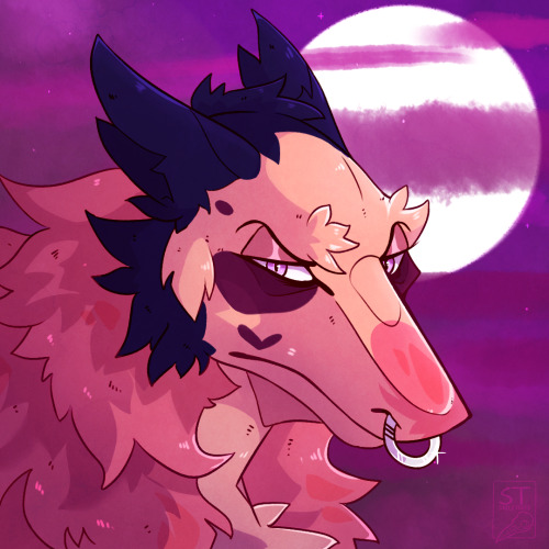 art trade with CS user raindrop, of their lovely sergal!