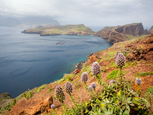 Alqualonde - Madeira, Portugal