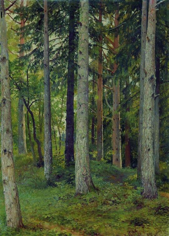 Forest, 1897, Ivan Shishkin