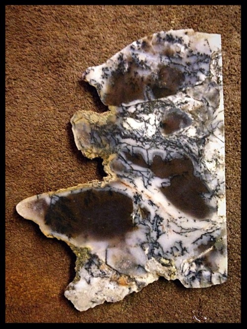 Snake River Dendritic Agate, rare old stock! https://www.etsy.com/listing/619304844/snake-river-dend