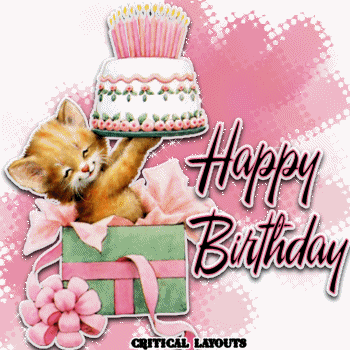 Unimpressed Cats It S Lauren S Birthday