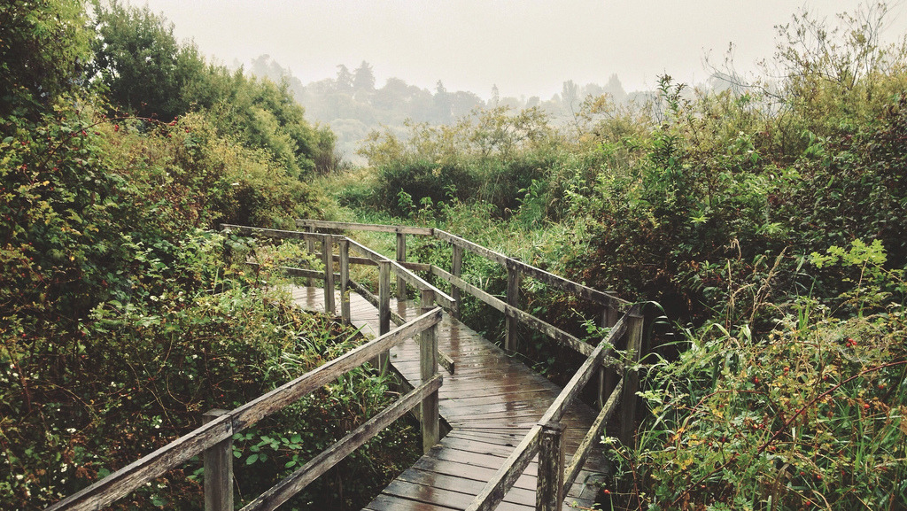 englishsnow:  by Tyler Forest-Hauser 