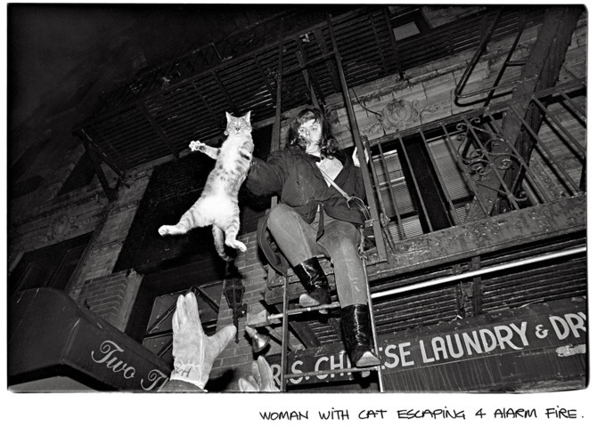 nymag:    See New York City Through the Eyes of a Tabloid Master  Andrew Savulich