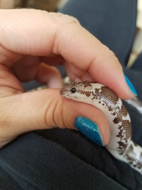 snabiesnbabies: *squish squish*