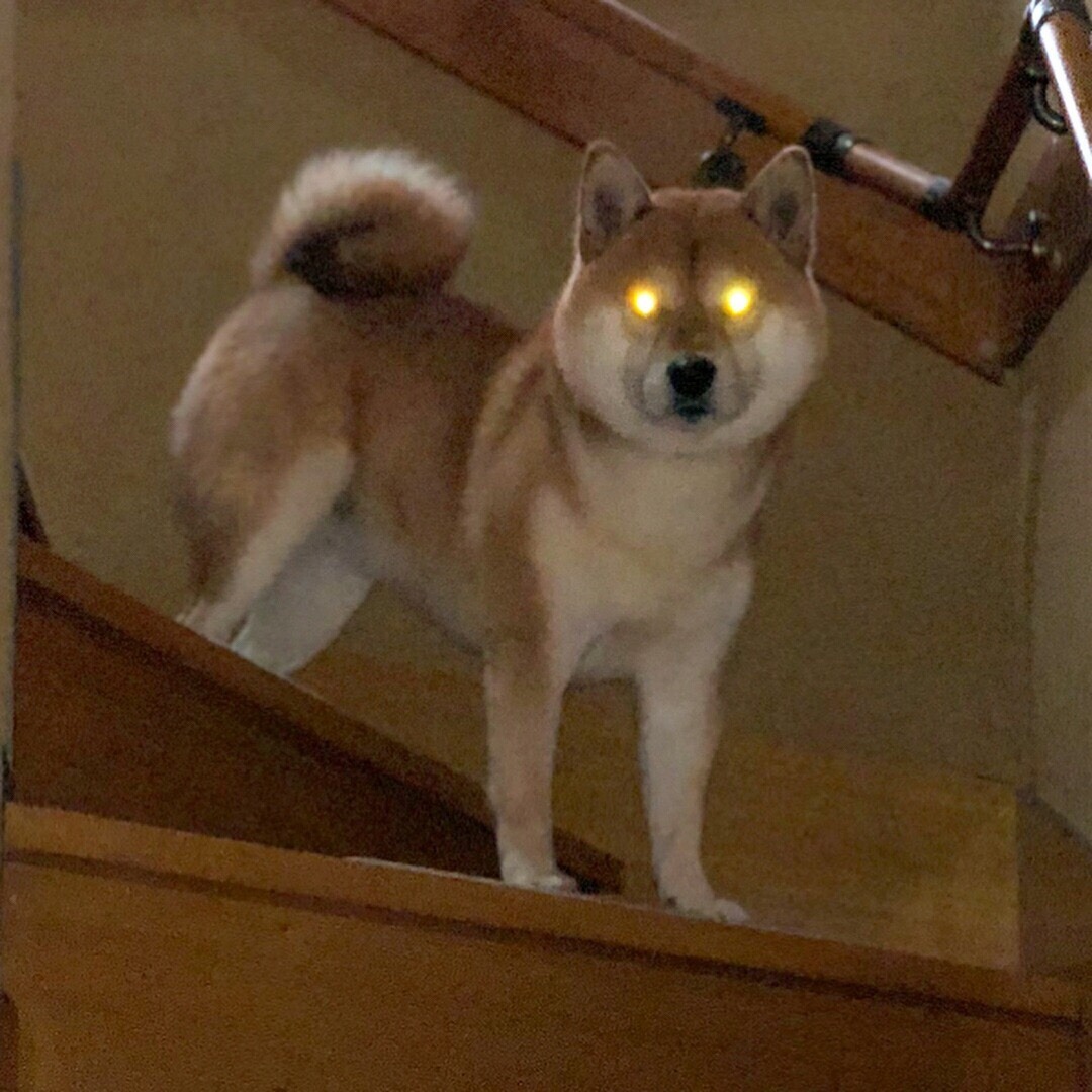 babyfairy: anybody: *inconveniences my friends* me, immediately: 