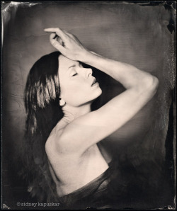 Sidneykapuskar:  Aurele Liv, 8X10 Ambrotype 