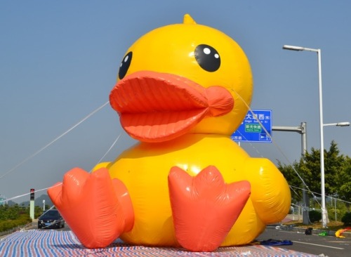 rubber ducky