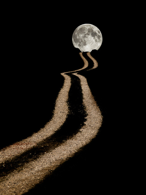0ce4n-g0d:  (via 500px / 0 by R-A A)