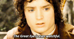 mihtrandir:lotr meme{1/10 scenes} → “The Ring was made in the fires of Mount Doom. Only there can it