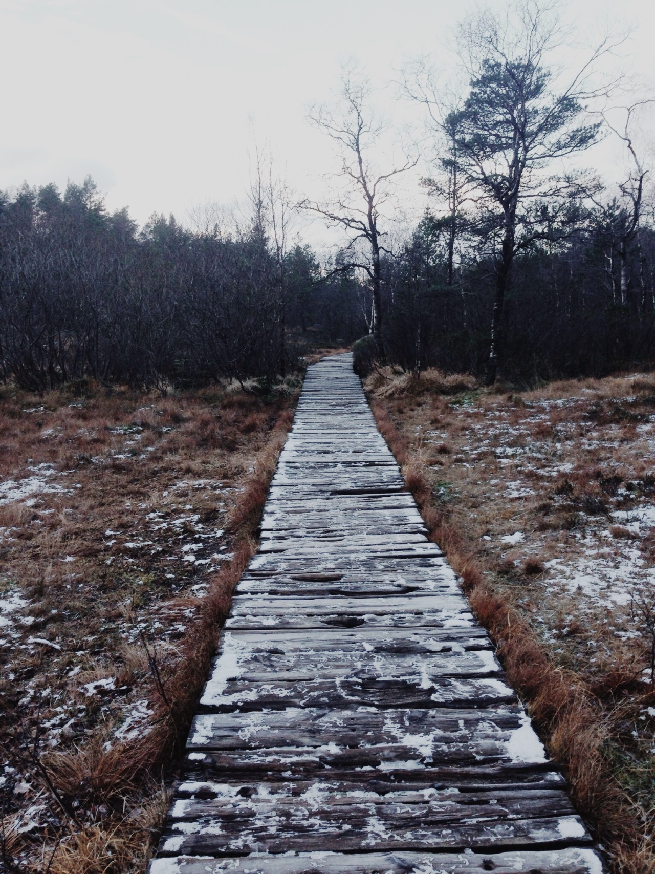 danielodowd:  Kelsey Stevens