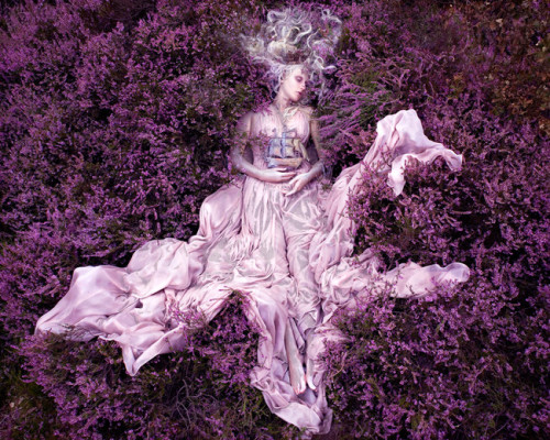 sixpenceee:  Pohtos by Kirsty Mitchell. Her Wonderland, which sees fantastical, opulent costumes in beautiful natural settings, took her six years to complete.Check out these surreal photo manipulations by Kevin Corrado. 