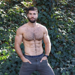 Hairy Chests