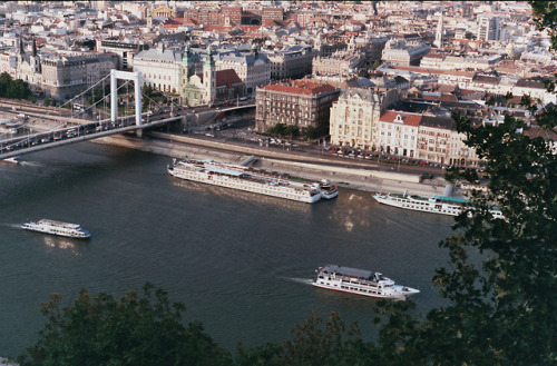 Danube River, 2013