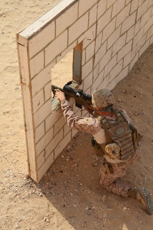 ificandoit-usmc:  house-of-gnar:  Scout Sniper Platoon, Weapons Company, Battalion Landing Team 3/5, 15th Marine Expeditionary Unit. US Marine Corps photo by Cpl. Timothy Childers/Released  Got dayum I want that. 