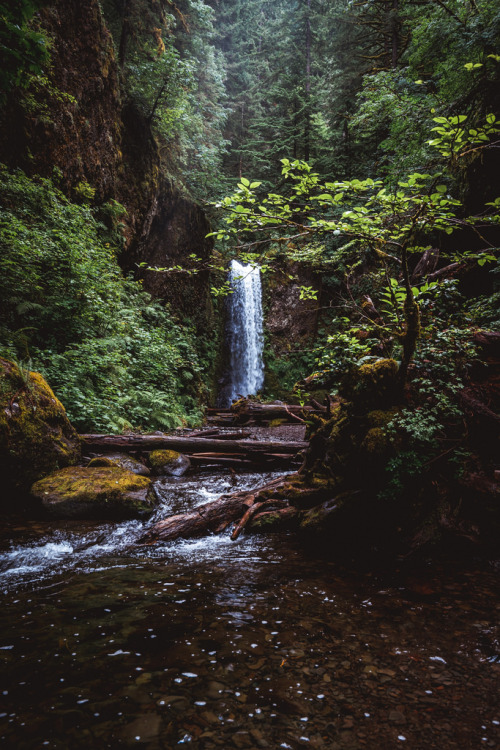 wanderthewood:Columbia River Gorge, Oregon by Todd Danger Farr