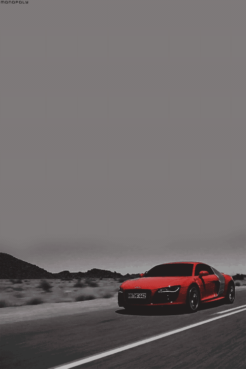 m0nopoly:  Aᴜᴅɪ R8 
