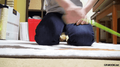 gifsboom:  Video Via: MAKO0MAKO0 + GIFs