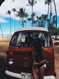 Hawaii Beach Hotties