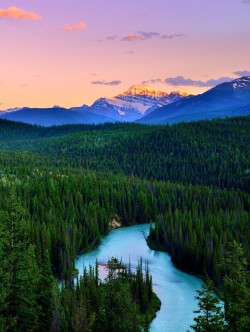 woodendreams:  Jasper National Park, Canada (by Shuchun Du)