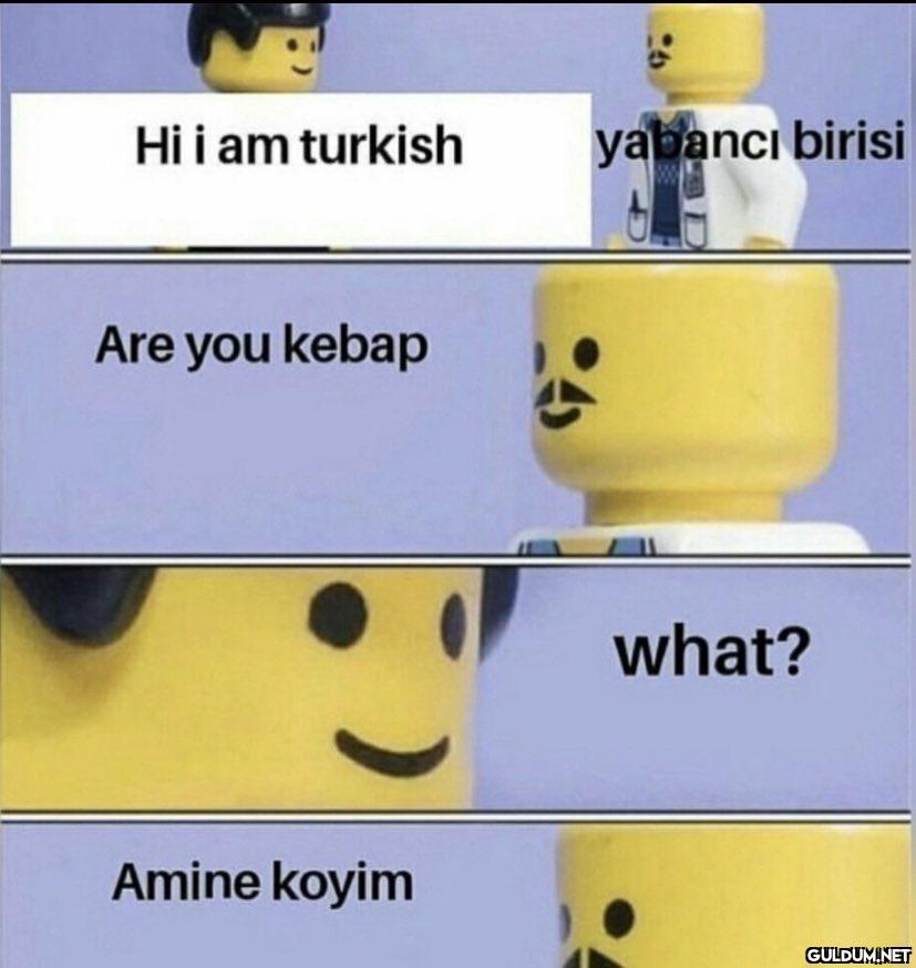 Hi i am turkish Are you...