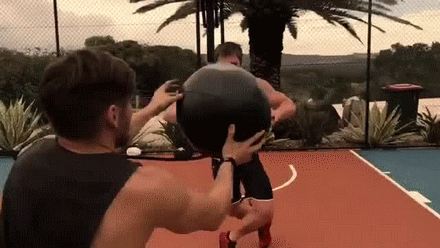 x-fits-y:  That man manages to put him on a harness and made him walk like a dog…
