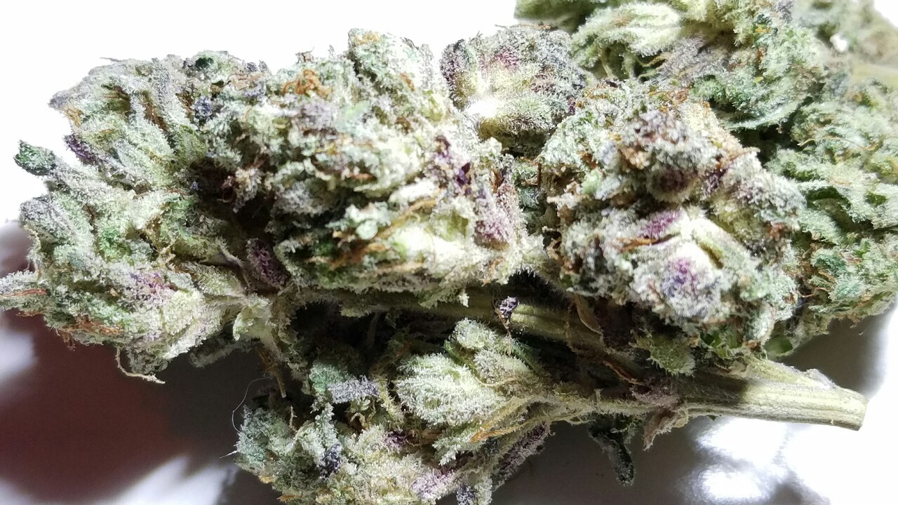 420stationusa:  Stay High And Check Out Our Store Here!!