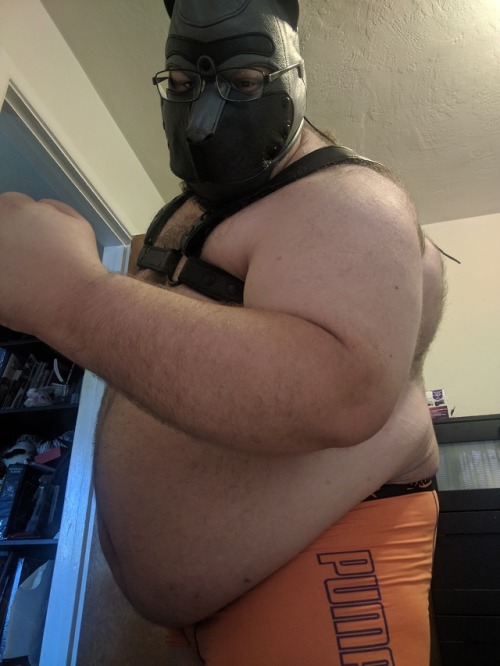 weaselpup:  Some pics for a warm pride weekend!  Grrr woof