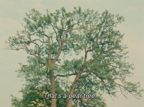 365filmsbyauroranocte: 4 aventures de Reinette et Mirabelle (Éric Rohmer, 1987)