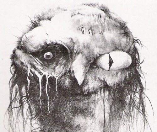talesfromweirdland:  Illustrations by Stephen Gammell from the children’s books, Scary Stories to Tell in the Dark (1981-1991).