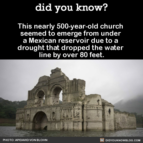 pipistrellus:jonlybonlyfromboldlygo:did-you-kno:The Temple of Quechula was built in 1564 and abandon