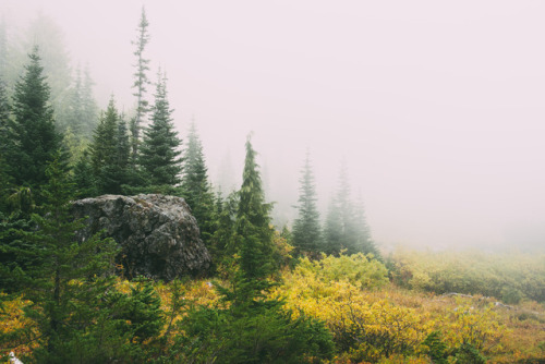 Olympic National Park