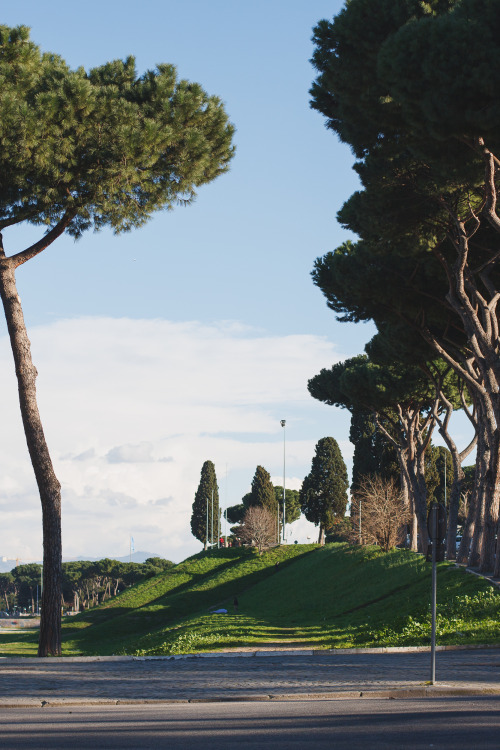 Roma, Circus Maximus