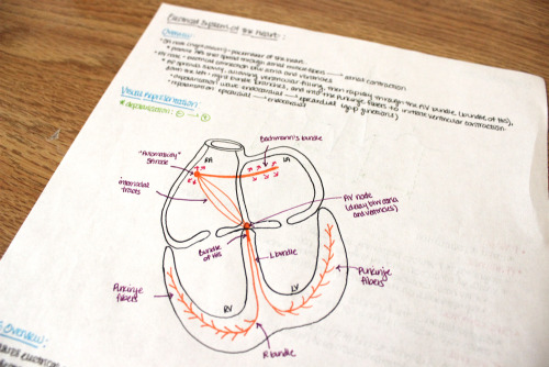 sarahsaysmd: In med school, taking notes is hard because there’s SO much material. I remember going through one of my lectures and wondering how the hell I was going to simplify it to something I could actually remember. I usually make what are called